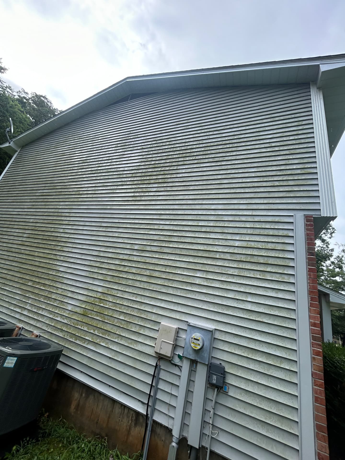 Vinyl siding soft wash — before D.R Wash cleaning